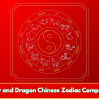 Monkey and Dragon Chinese Zodiac Compatibility