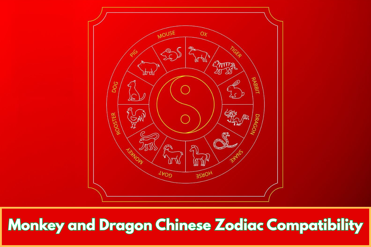 Monkey and Dragon Chinese Zodiac Compatibility
