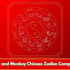 Monkey and Monkey Chinese Zodiac Compatibility