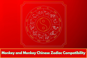 Monkey and Monkey Chinese Zodiac Compatibility