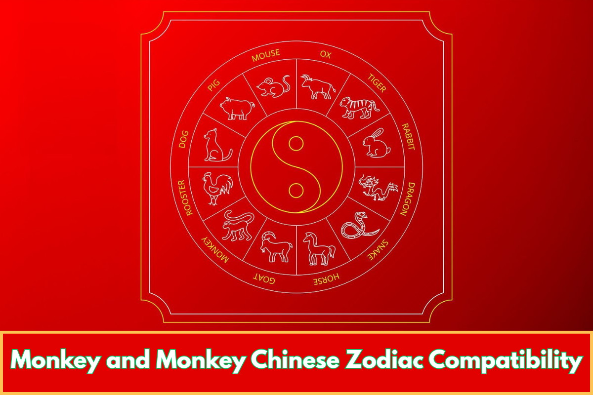 Monkey and Monkey Chinese Zodiac Compatibility