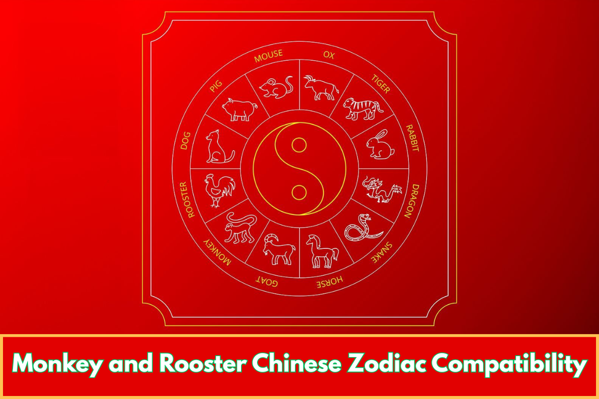 Monkey and Rooster Chinese Zodiac Compatibility