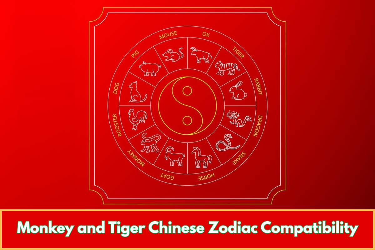 Monkey and Tiger Chinese Zodiac Compatibility