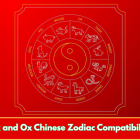 Ox and Ox Chinese Zodiac Compatibility