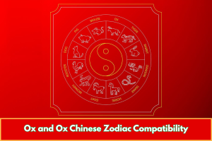 Ox and Ox Chinese Zodiac Compatibility