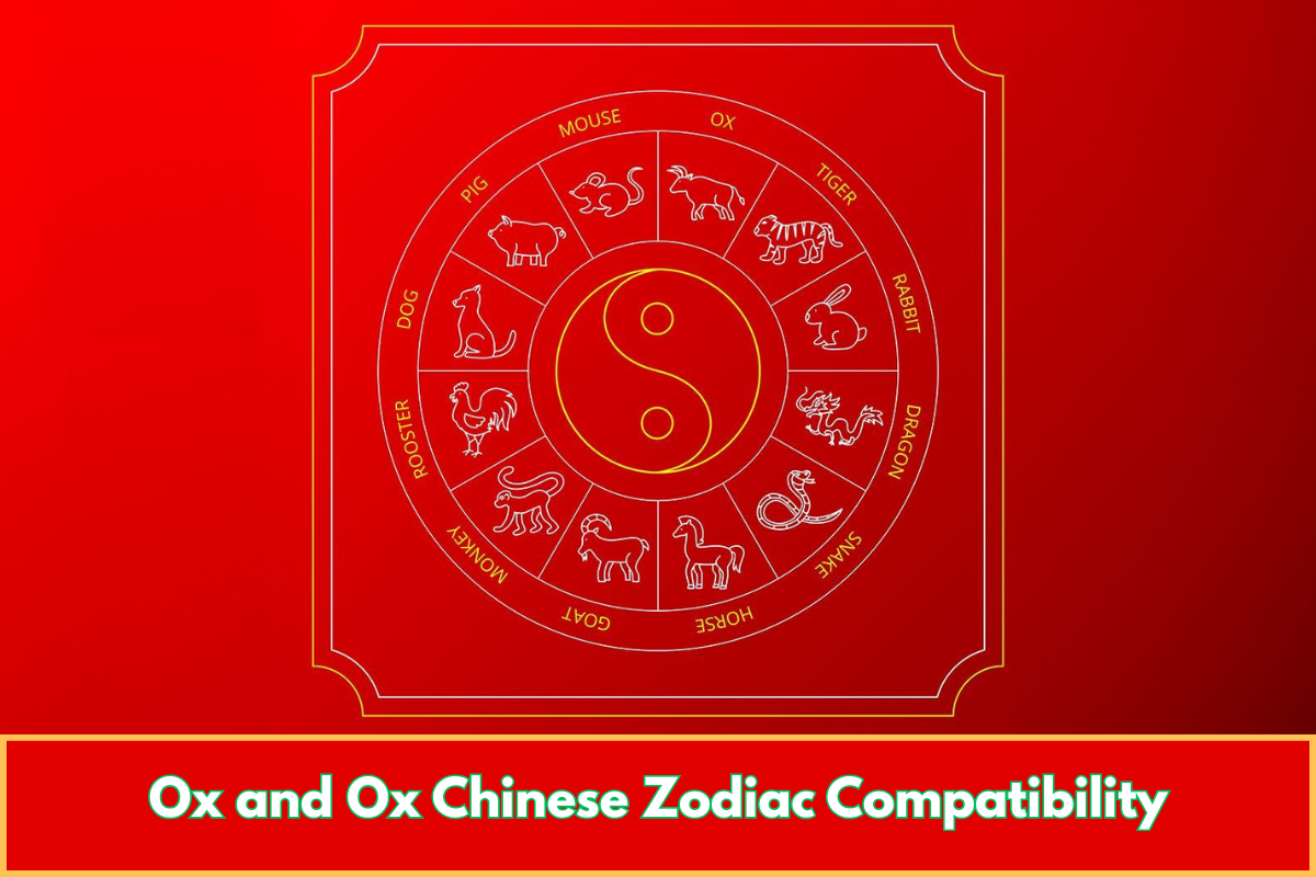 Ox and Ox Chinese Zodiac Compatibility
