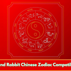 Ox and Rabbit Chinese Zodiac Compatibility