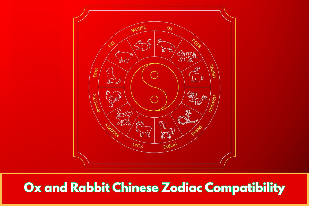 Ox and Rabbit Chinese Zodiac Compatibility