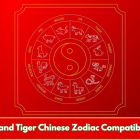 Ox and Tiger Chinese Zodiac Compatibility