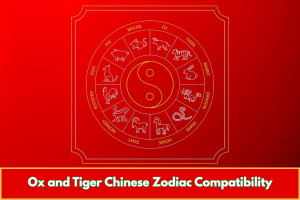Ox and Tiger Chinese Zodiac Compatibility