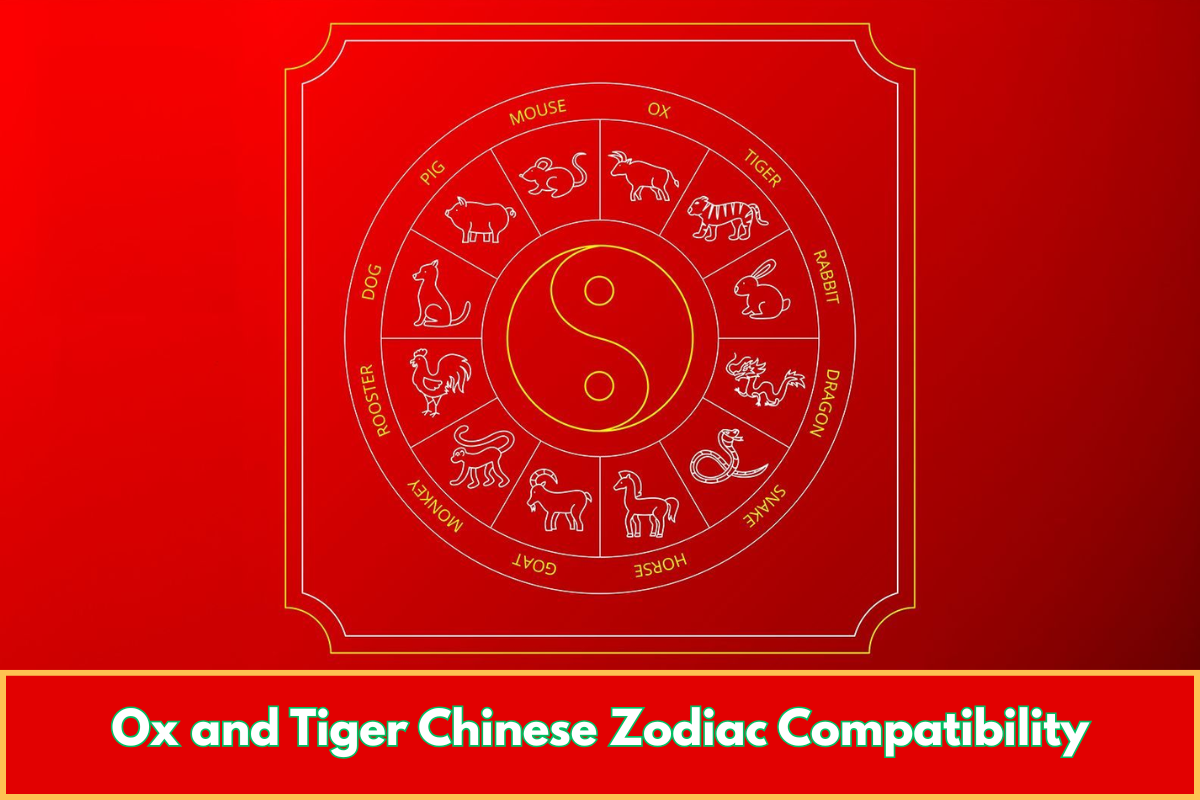 Ox and Tiger Chinese Zodiac Compatibility