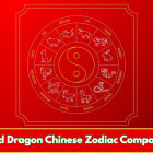 Pig and Dragon Chinese Zodiac Compatibility