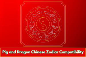 Pig and Dragon Chinese Zodiac Compatibility