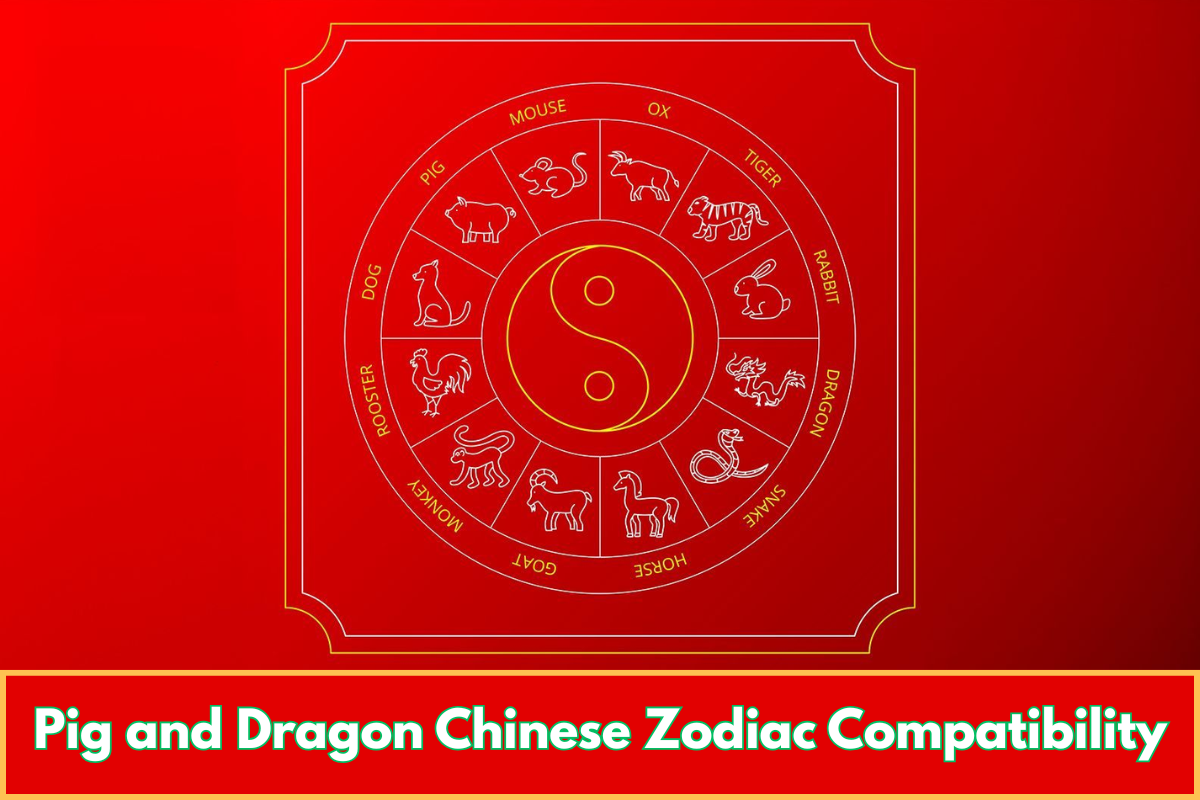 Pig and Dragon Chinese Zodiac Compatibility