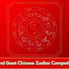 Pig and Goat Chinese Zodiac Compatibility