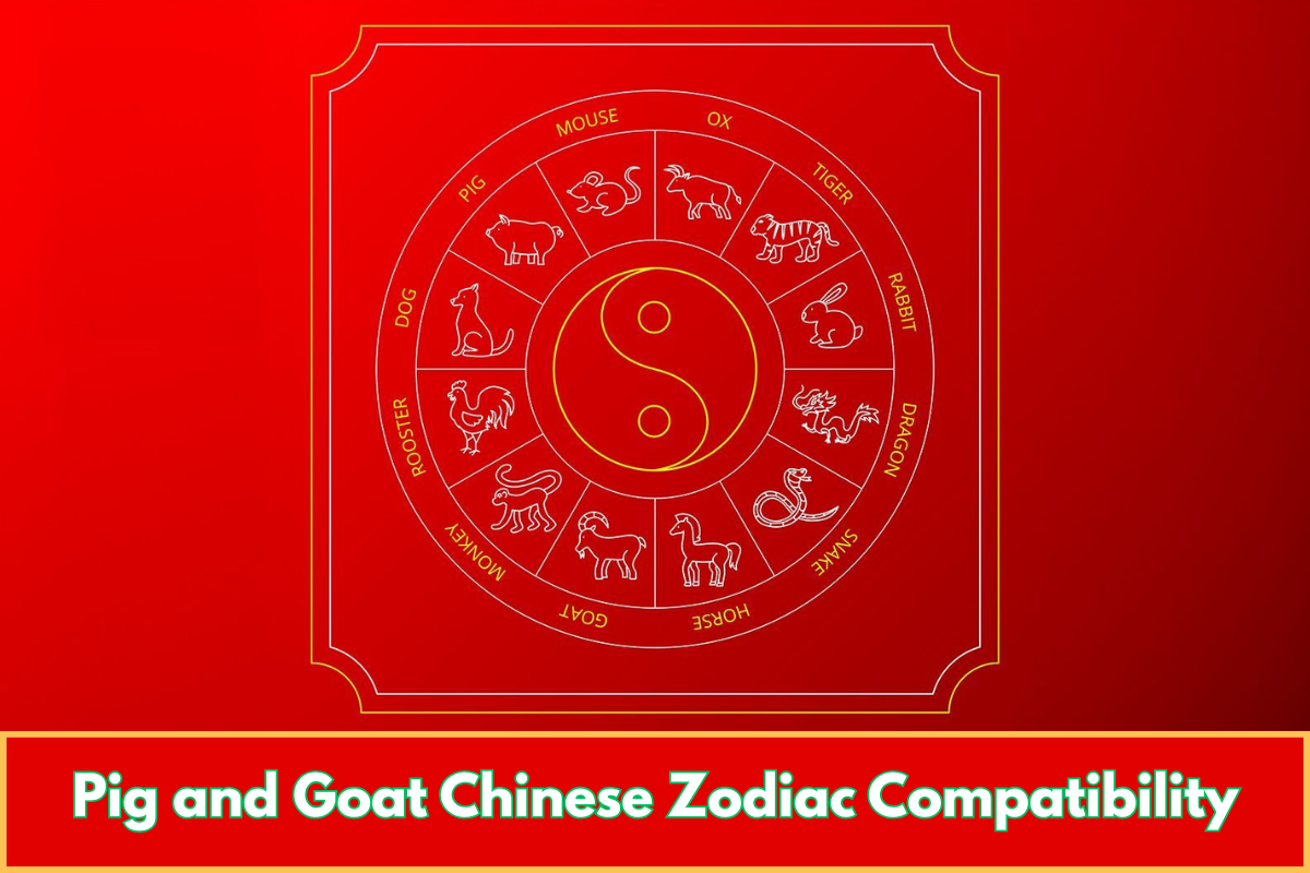 Pig and Goat Chinese Zodiac Compatibility