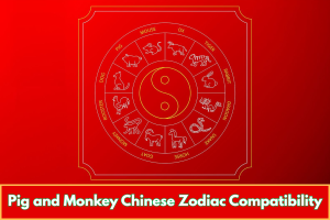 Pig and Monkey Chinese Zodiac Compatibility