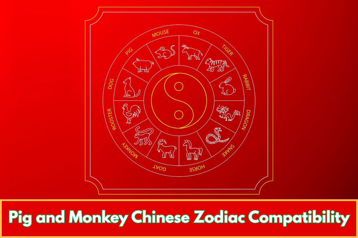Pig and Monkey Chinese Zodiac Compatibility