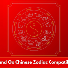 Pig and Ox Chinese Zodiac Compatibility