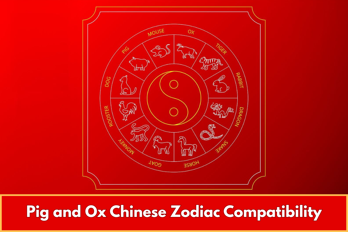 Pig and Ox Chinese Zodiac Compatibility