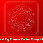 Pig and Pig Chinese Zodiac Compatibility