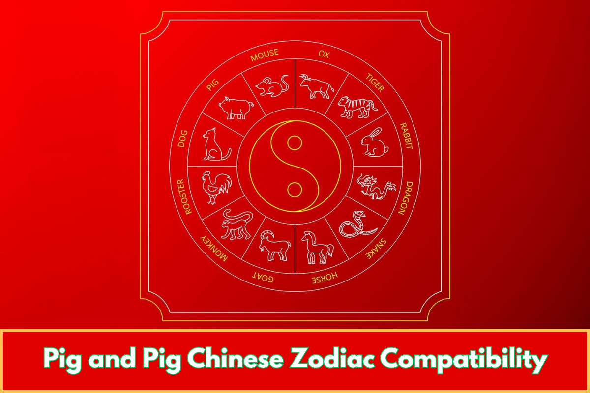 Pig and Pig Chinese Zodiac Compatibility