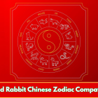 Pig and Rabbit Chinese Zodiac Compatibility