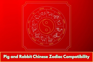 Pig and Rabbit Chinese Zodiac Compatibility