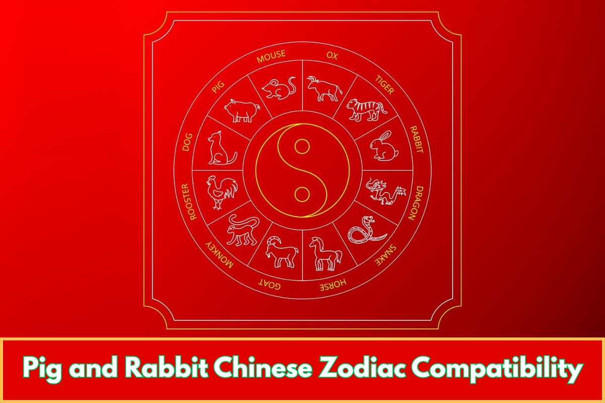 Pig and Rabbit Chinese Zodiac Compatibility