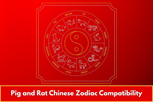 Pig and Rat Chinese Zodiac Compatibility