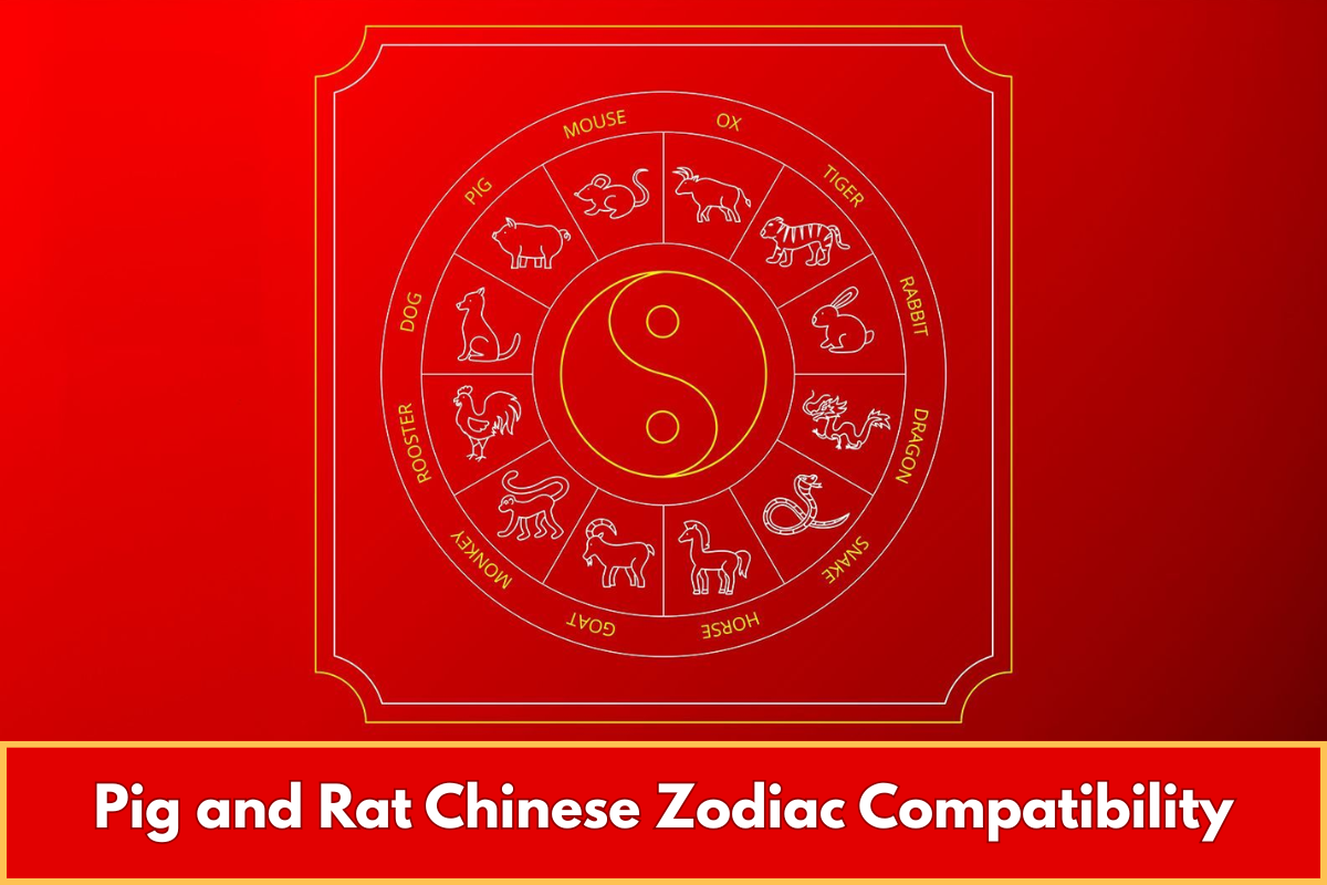 Pig and Rat Chinese Zodiac Compatibility