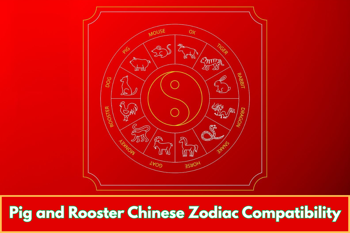 Pig and Rooster Chinese Zodiac Compatibility