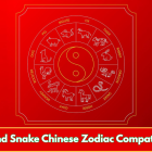 Pig and Snake Chinese Zodiac Compatibility