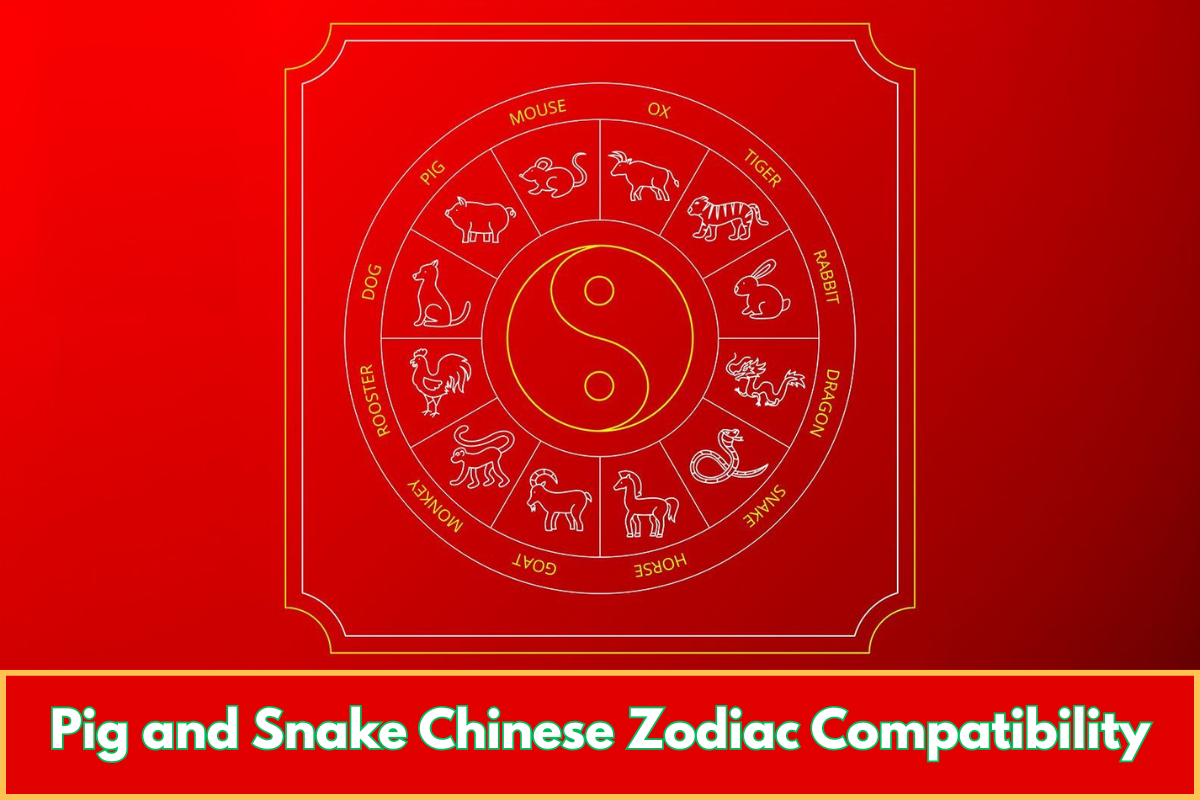 Pig and Snake Chinese Zodiac Compatibility