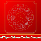 Pig and Tiger Chinese Zodiac Compatibility