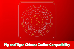Pig and Tiger Chinese Zodiac Compatibility