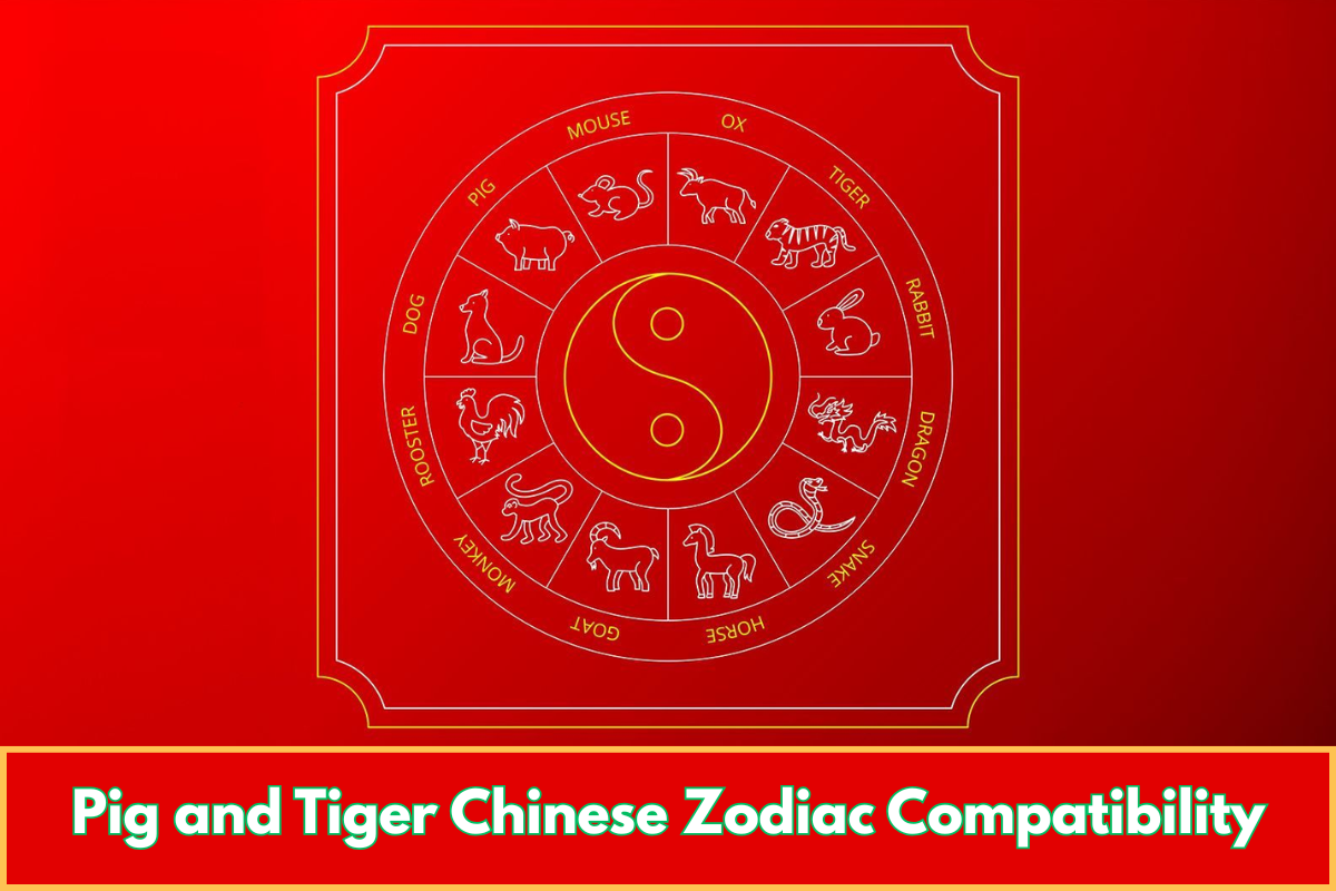 Pig and Tiger Chinese Zodiac Compatibility