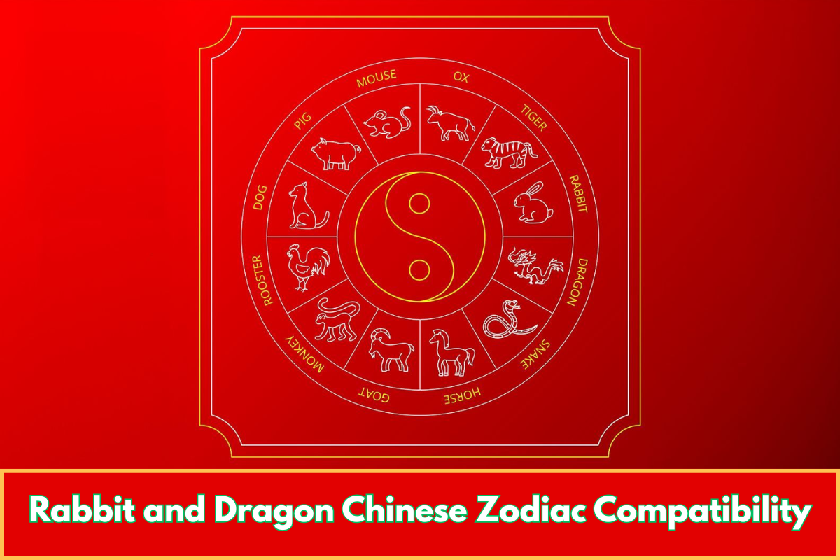 Rabbit and Dragon Chinese Zodiac Compatibility
