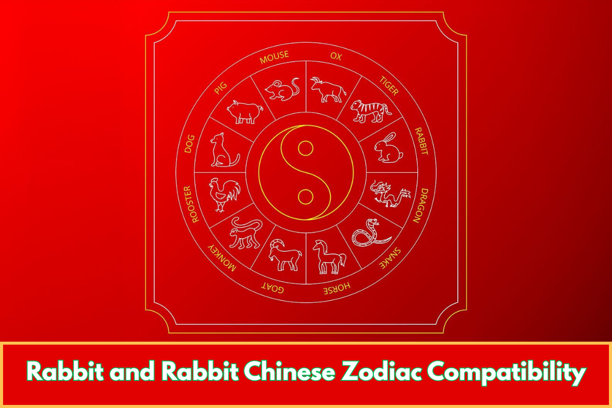 Rabbit and Rabbit Chinese Zodiac Compatibility