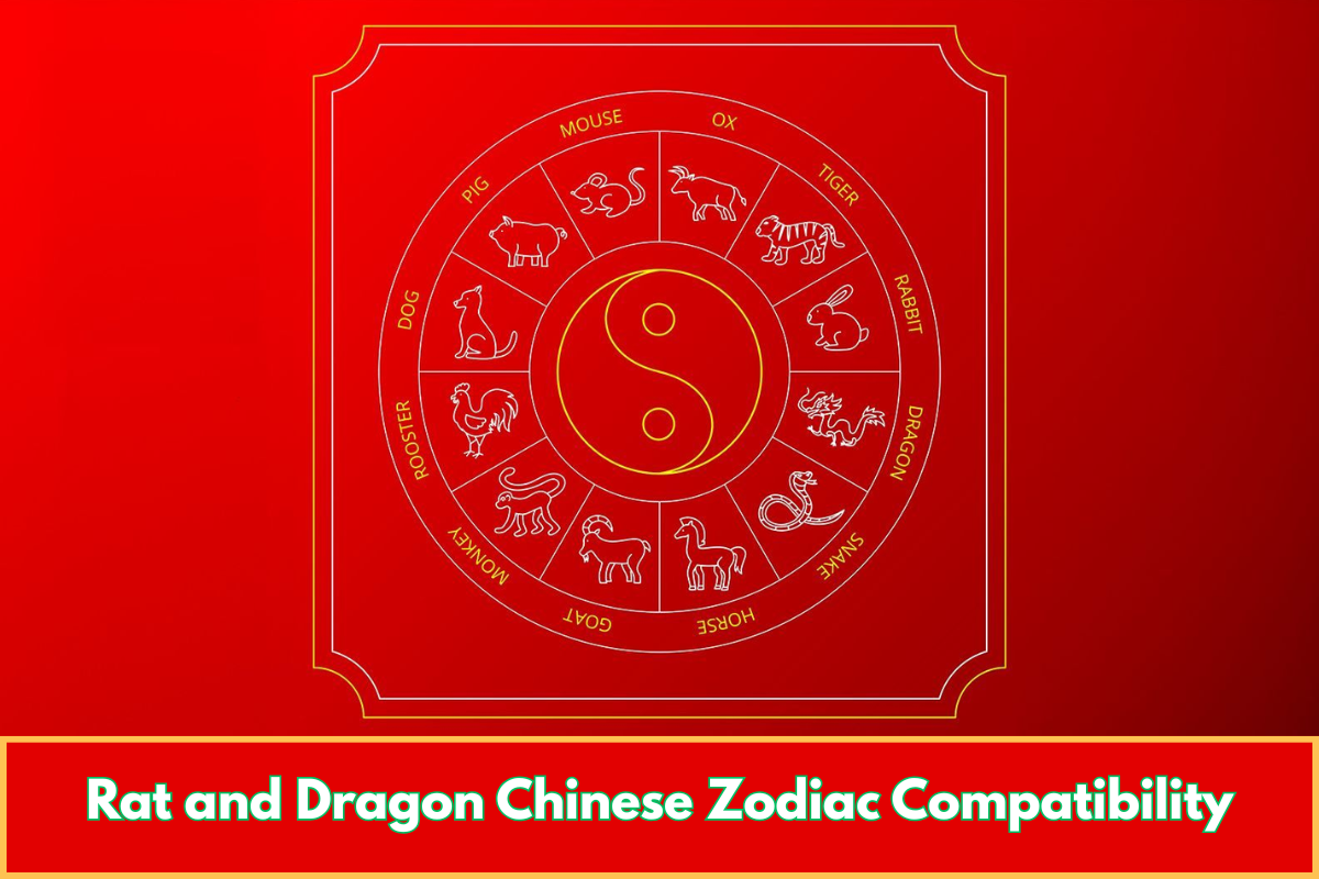 Rat and Dragon Chinese Zodiac Compatibility