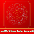 Rat and Ox Chinese Zodiac Compatibility
