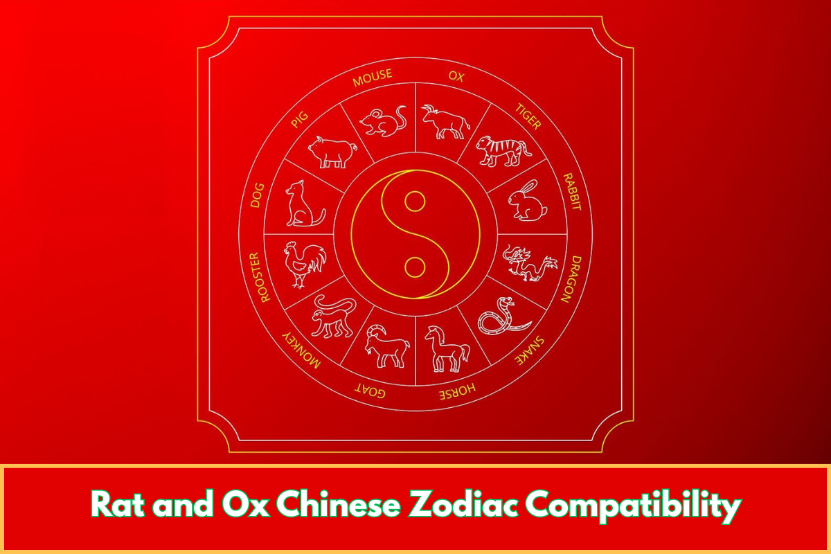 Rat and Ox Chinese Zodiac Compatibility