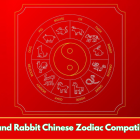 Rat and Rabbit Chinese Zodiac Compatibility