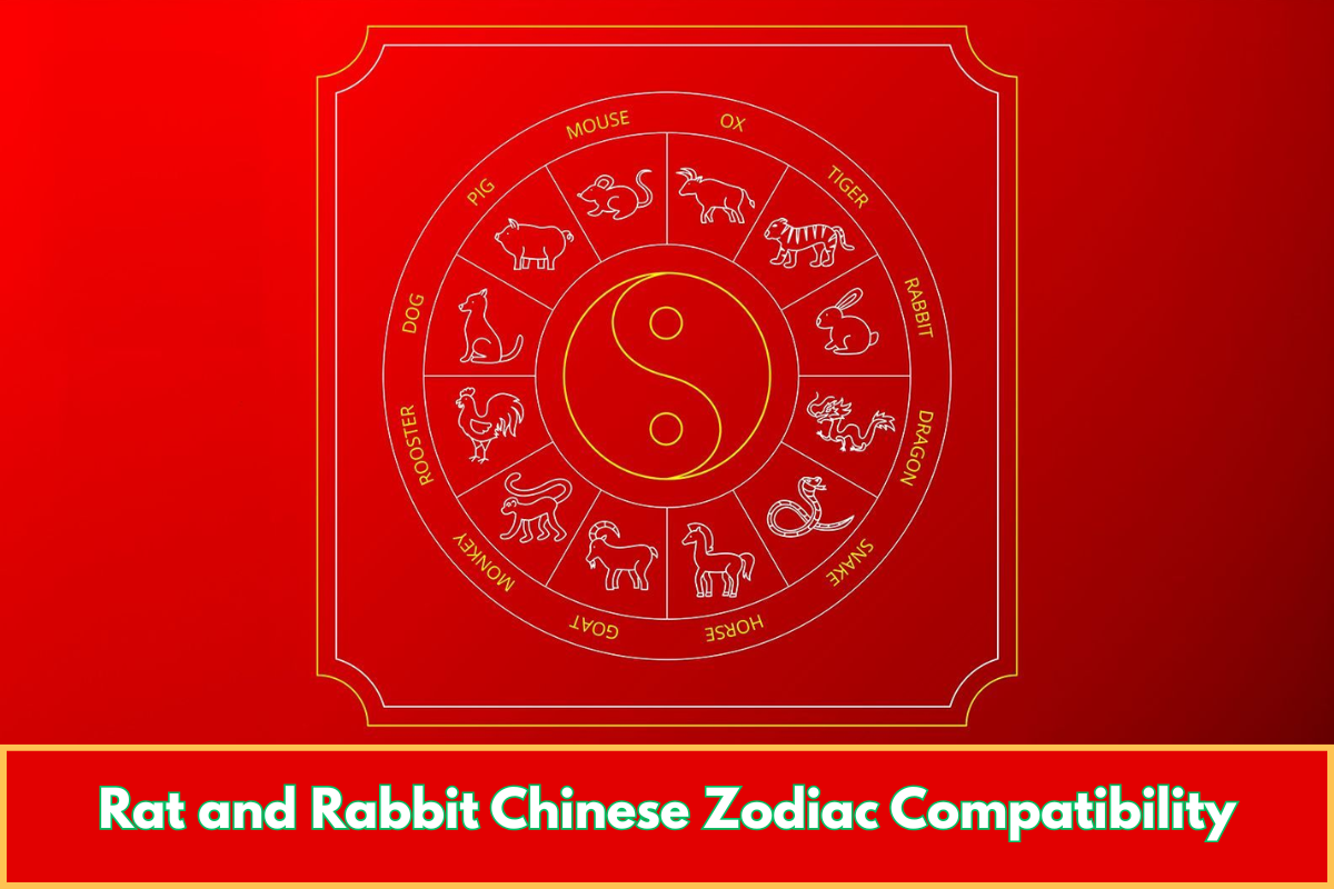 Rat and Rabbit Chinese Zodiac Compatibility