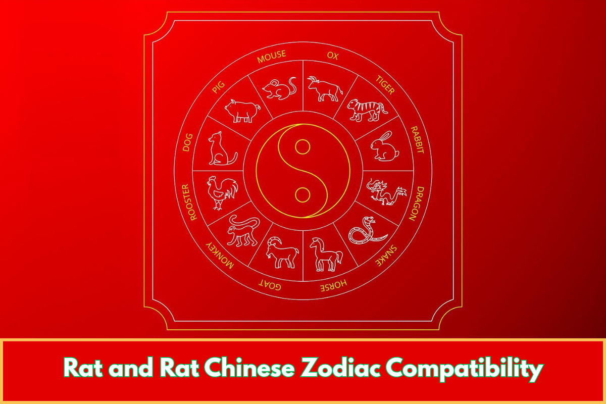 Rat and Rat Chinese Zodiac Compatibility