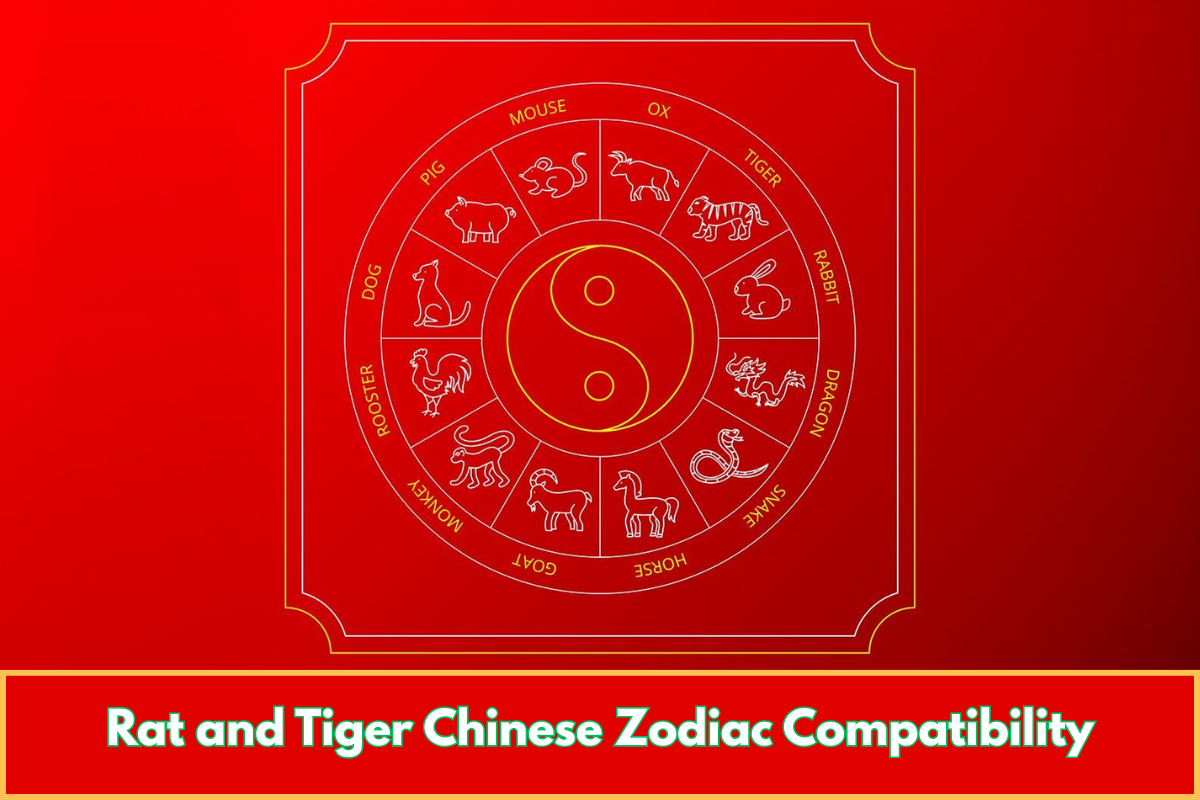 Rat and Tiger Chinese Zodiac Compatibility