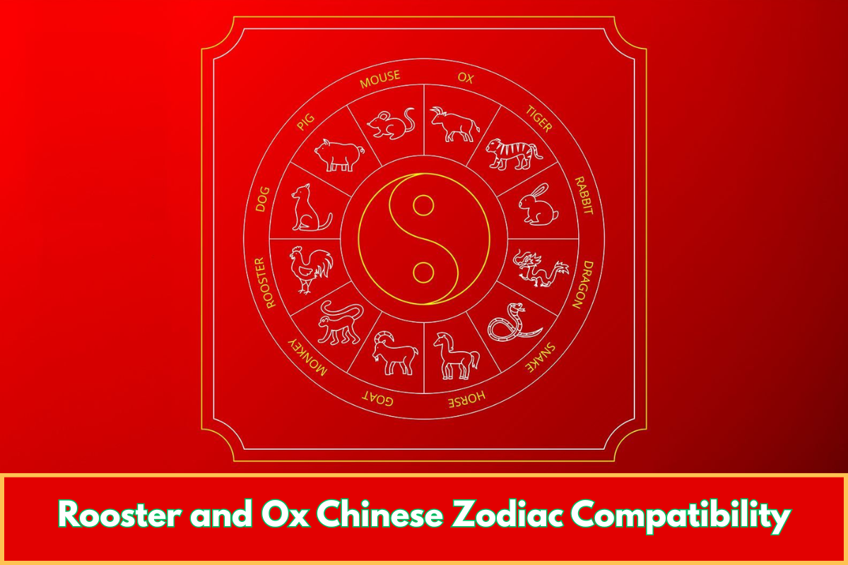Rooster and Ox Chinese Zodiac Compatibility
