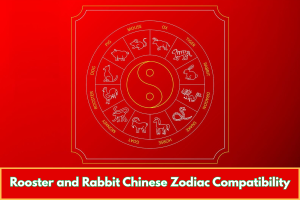 Rooster and Rabbit Chinese Zodiac Compatibility