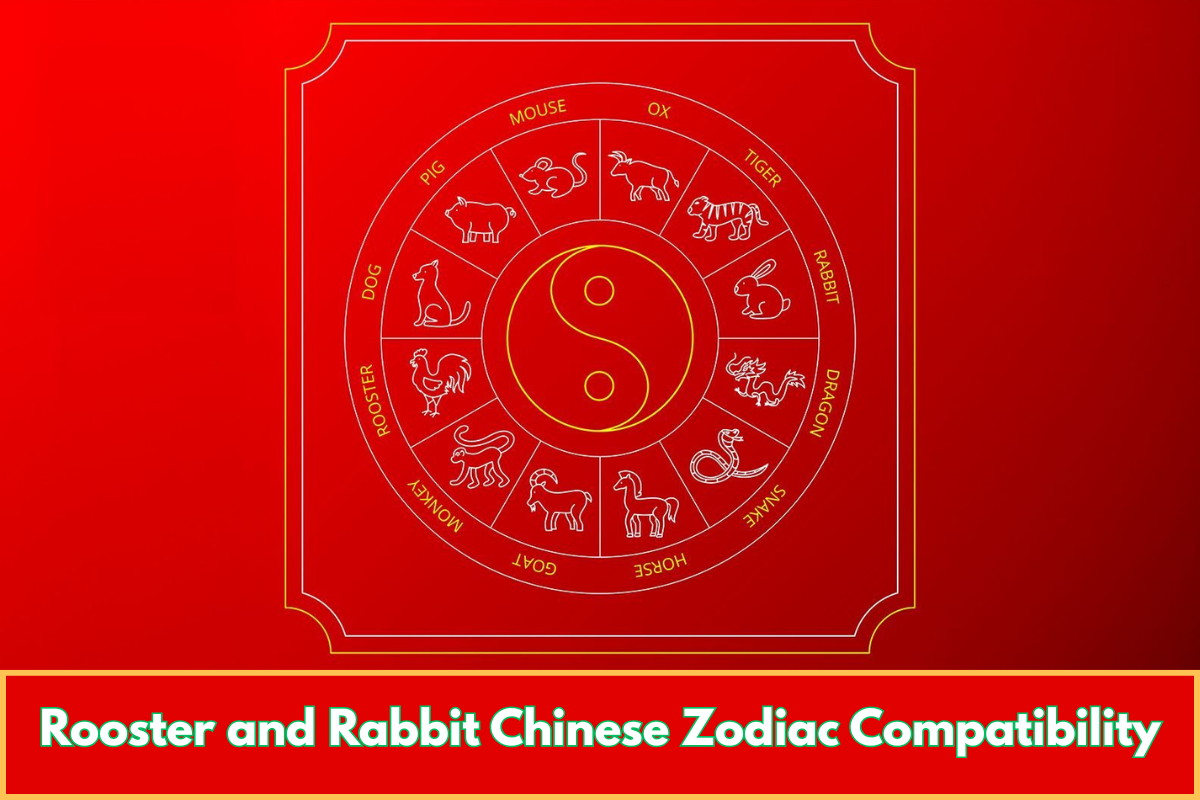 Rooster and Rabbit Chinese Zodiac Compatibility