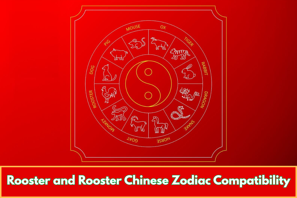 Rooster and Rooster Chinese Zodiac Compatibility